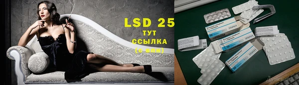 PSILOCYBIN Струнино
