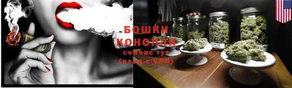 PSILOCYBIN Струнино