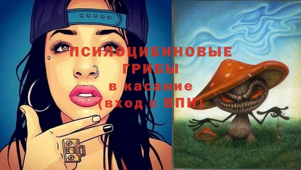 таблы Няндома