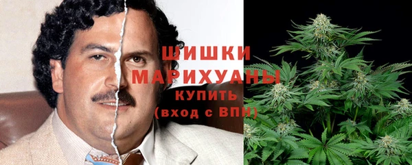 мдпв Ступино