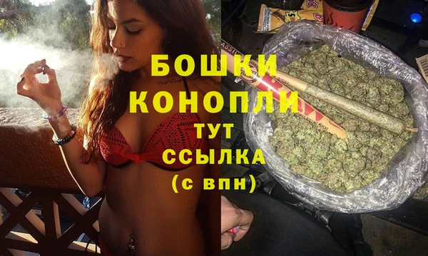 мдпв Ступино