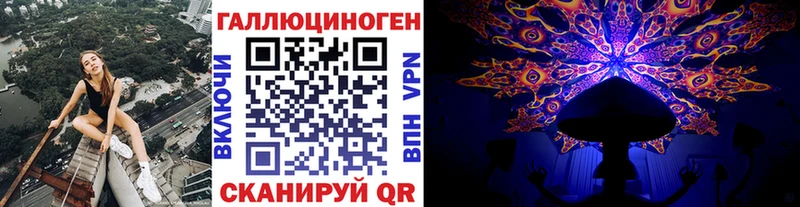 Галлюциногенные грибы Psilocybine cubensis  где купить наркоту  Кукмор 